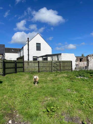 House Saint John's Town of Dalry