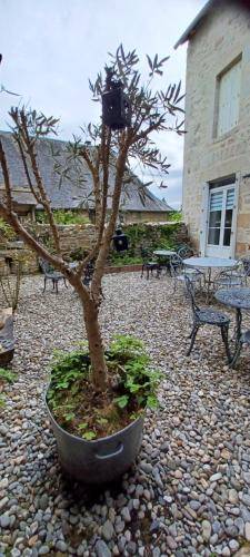 Appartement  Ussel
