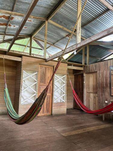 Bed and breakfast Leticia