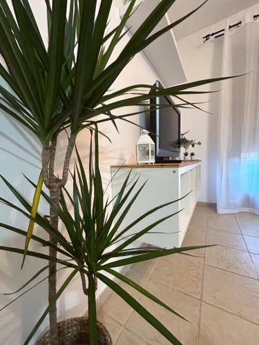 Apartmán  Ronda