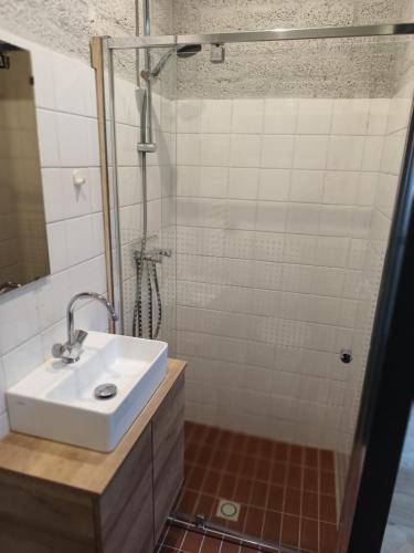 foto11