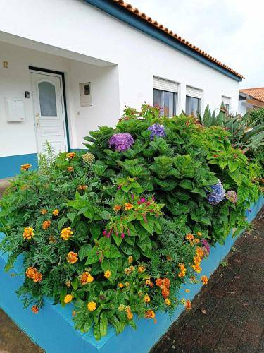 Apartamento Isla de Flores