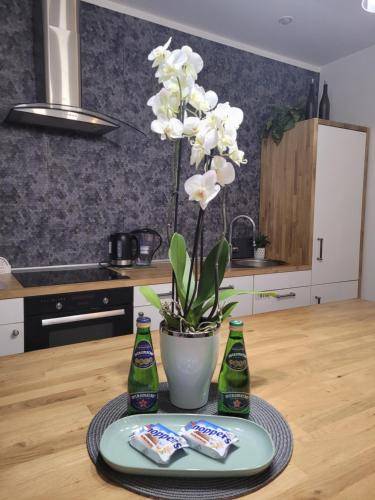 Apartament  Bydgoszcz