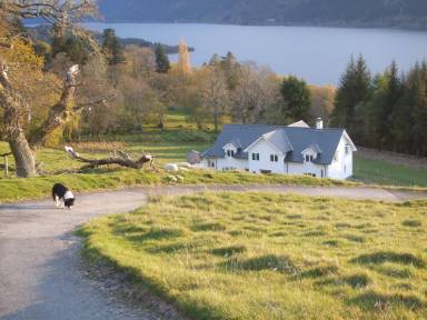 House Pet-friendly Foyers
