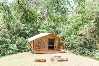 House Knoxville