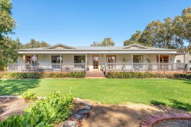 Lite hus McLaren Vale