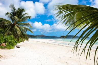 Résidence de tourisme 110 m²