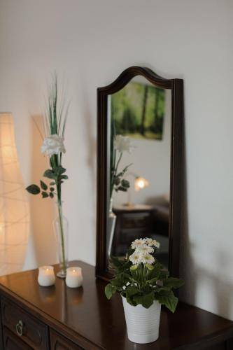 foto8
