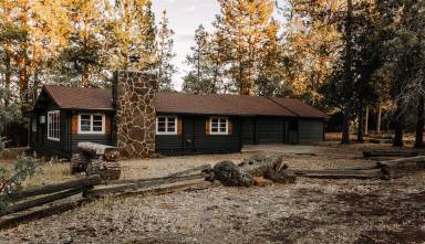 Cabin McArthur-Burney Falls Interpretive Association