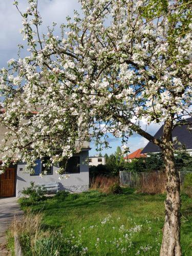 Apartament  Polanica-Zdrój