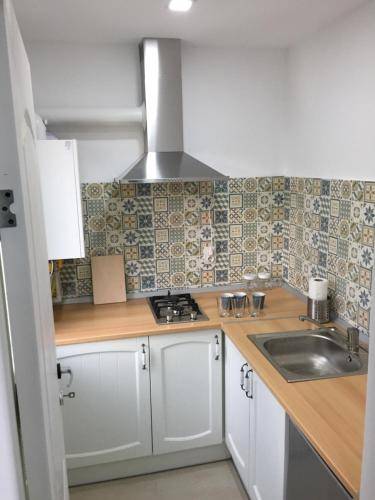 Apartment  Viziru III