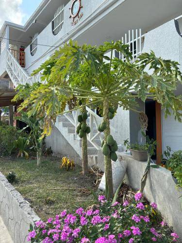 Posada Ontimeview