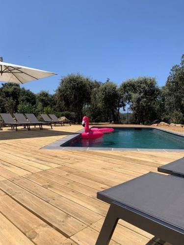Appartement  Calenzana