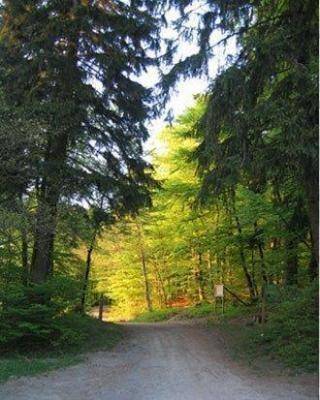 foto17