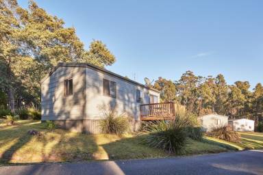 Camping  Port Arthur