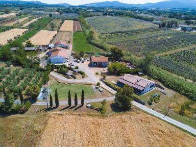 Appartamento Cecina