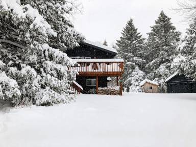 House Pet-friendly Tannersville