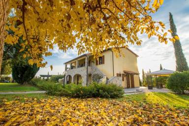 Apartment Internet Venturina Terme