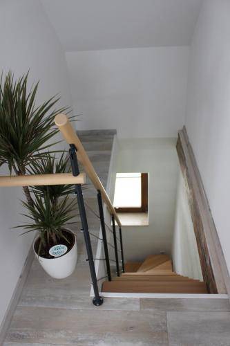 foto10