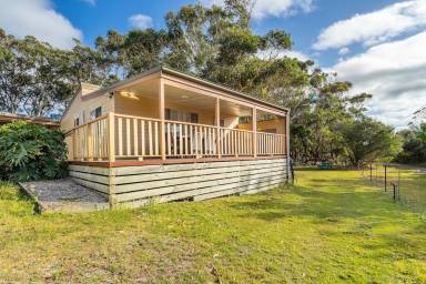 Holiday park  North Haven