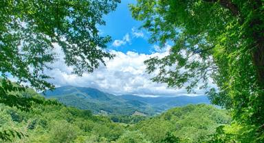 Cabin Lake Junaluska