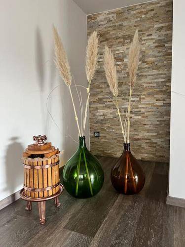 foto18