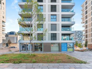 Ferienwohnung Locarno