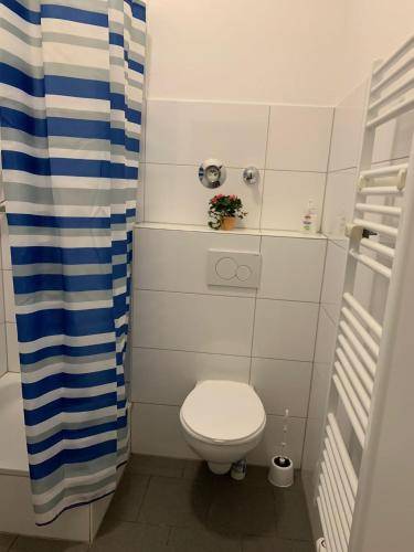 foto3