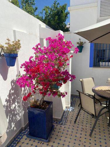 Apartment Estepona