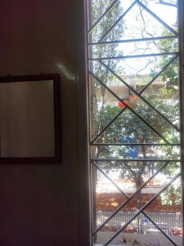 foto2