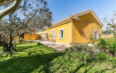 95 qm Ferienhaus für 4 Gäste mit Hund in Noves, Südfrankreich