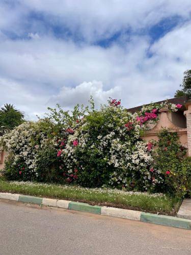 House  Nouaceur Province