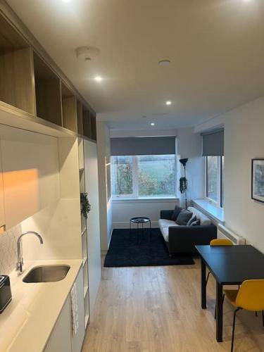 Apartment  Heathrow Airport