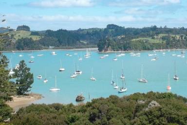 Apartment Paihia