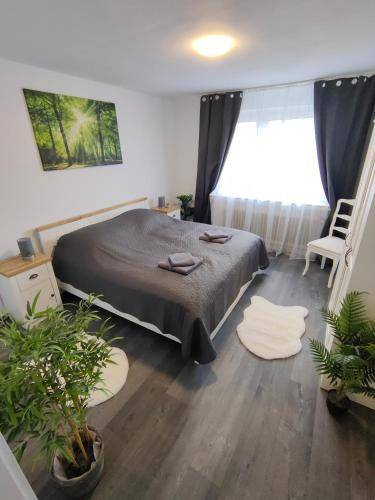 Apartment Kalk