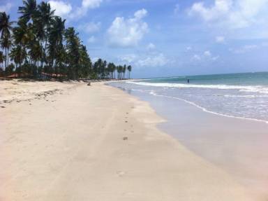 Apartamento Tamandaré
