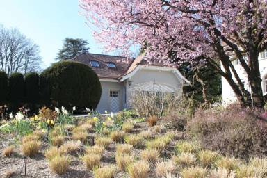 Accommodation  Eaux-Vives