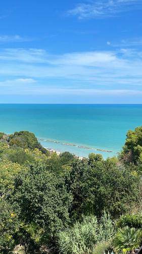 Apartma Cupra Marittima