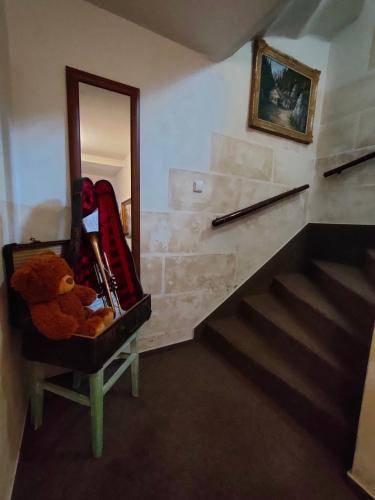 foto5