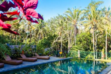 Airbnb  Ubud