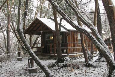 Cabin Medford