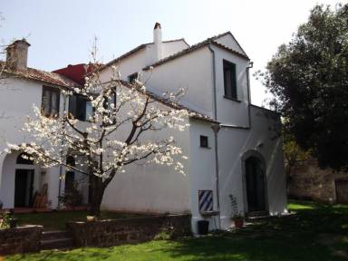 Villa  Montecorvino Rovella