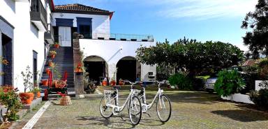 Children-friendly holiday apartment with barbecue & garden