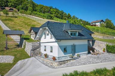 House  Vinji Vrh