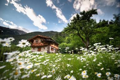 35 m² Chalet