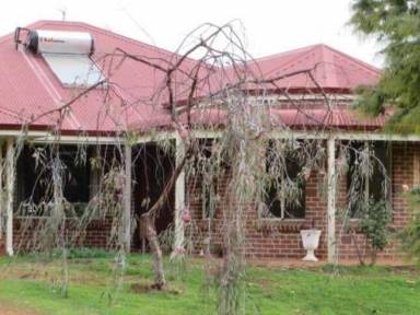 House  Donnybrook