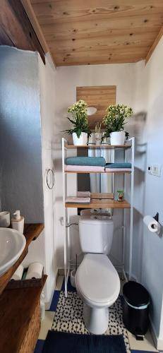 Apartma Plavje