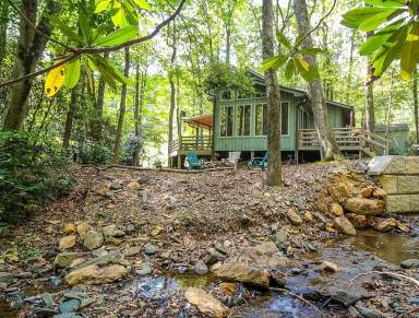 Cabin Bald Mountain