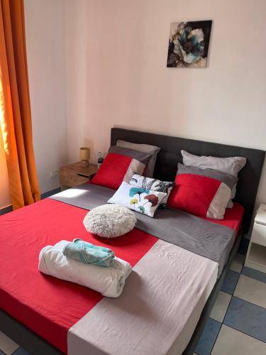 foto12