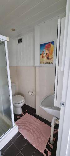 foto16